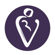thevillagesj logo